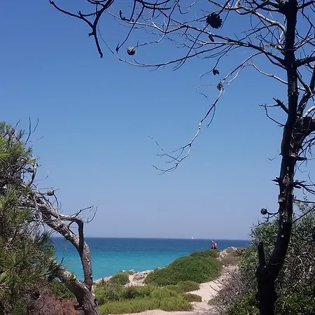 Stella Del Salento *